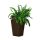 Rattan planter S virágtartó barna